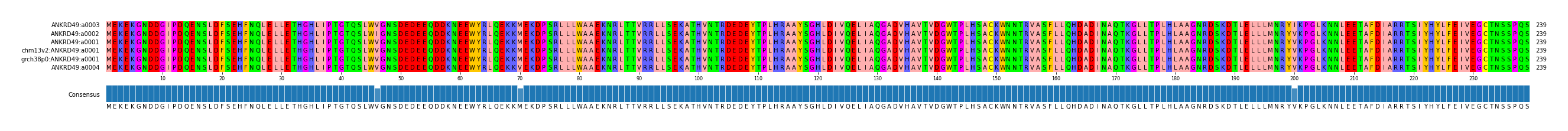 Multiple Alignments (by translate haplotype similarity)