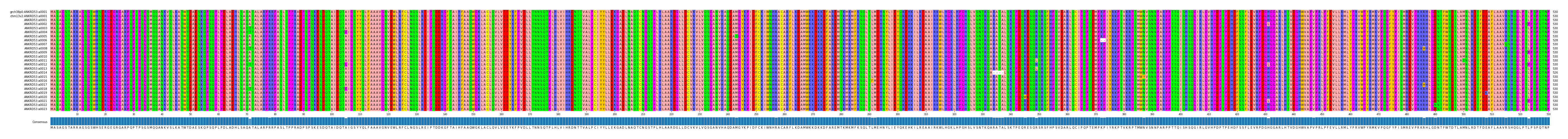 Multiple Alignments (by translate haplotype frequency)
