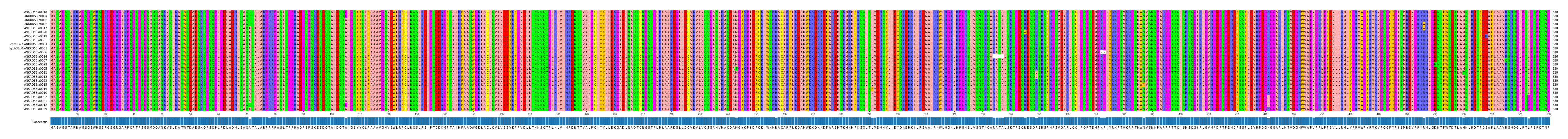 Multiple Alignments (by translate haplotype similarity)