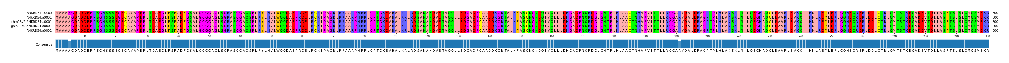 Multiple Alignments (by translate haplotype similarity)