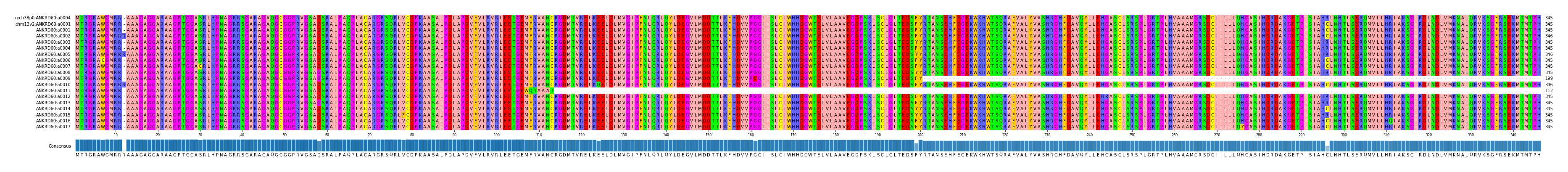 Multiple Alignments (by translate haplotype frequency)