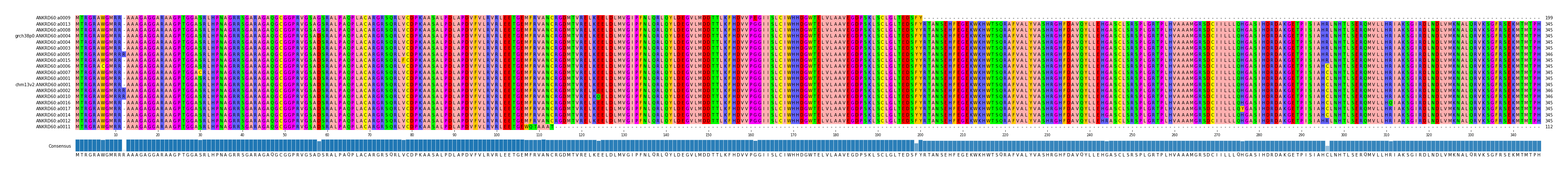 Multiple Alignments (by translate haplotype similarity)