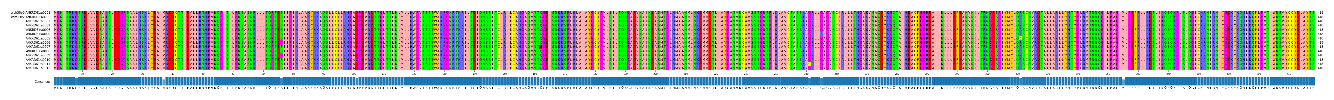Multiple Alignments (by translate haplotype frequency)