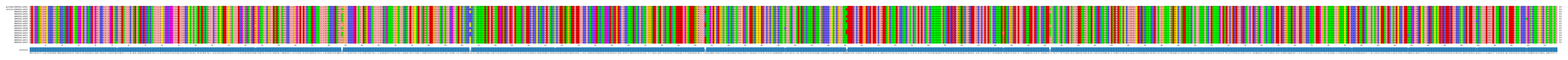 Multiple Alignments (by translate haplotype frequency)