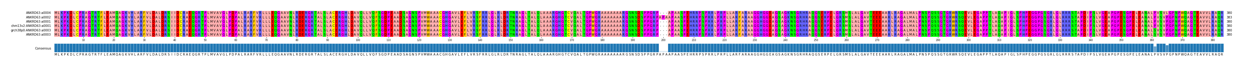 Multiple Alignments (by translate haplotype similarity)