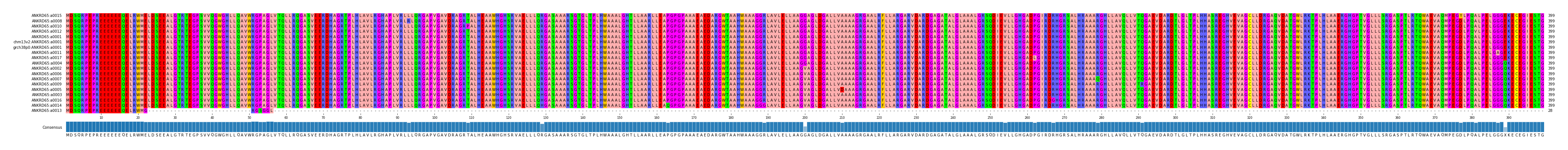 Multiple Alignments (by translate haplotype similarity)