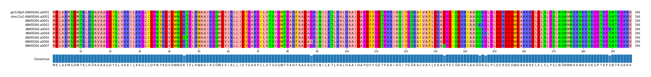 Multiple Alignments (by translate haplotype frequency)