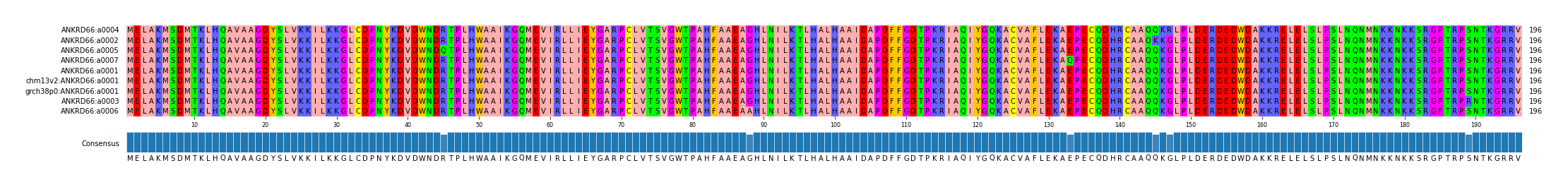 Multiple Alignments (by translate haplotype similarity)