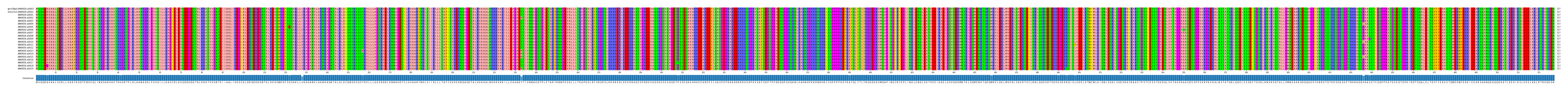 Multiple Alignments (by translate haplotype frequency)