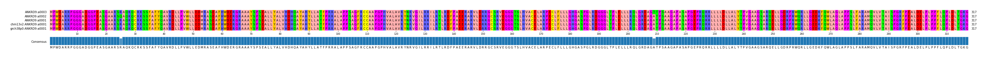Multiple Alignments (by translate haplotype similarity)