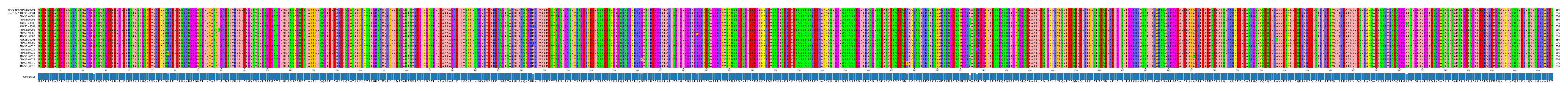 Multiple Alignments (by translate haplotype frequency)