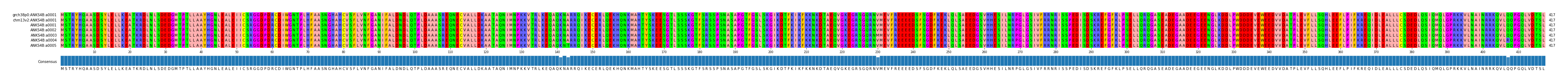 Multiple Alignments (by translate haplotype frequency)