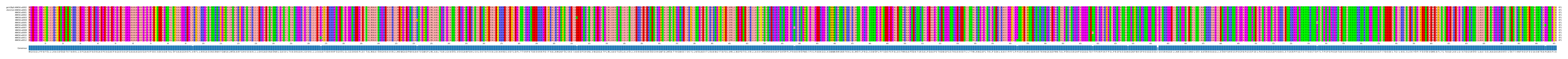 Multiple Alignments (by translate haplotype frequency)