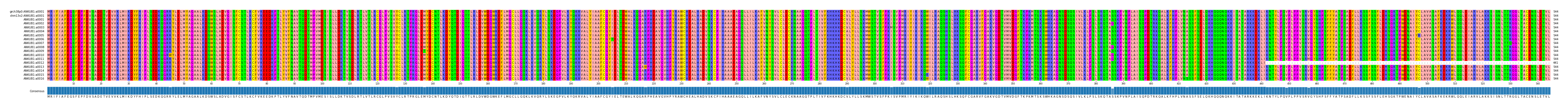 Multiple Alignments (by translate haplotype frequency)