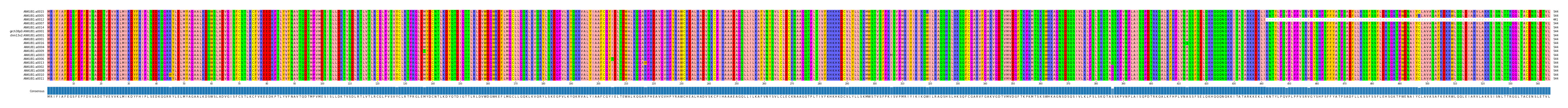 Multiple Alignments (by translate haplotype similarity)
