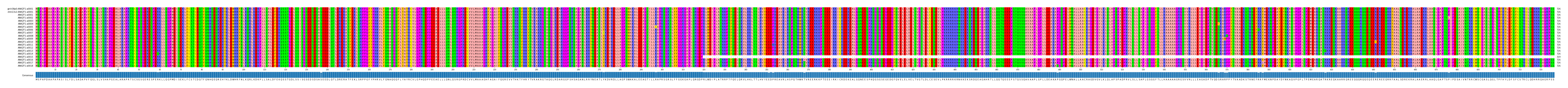 Multiple Alignments (by translate haplotype frequency)