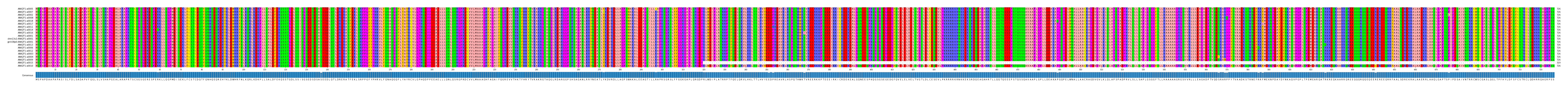 Multiple Alignments (by translate haplotype similarity)