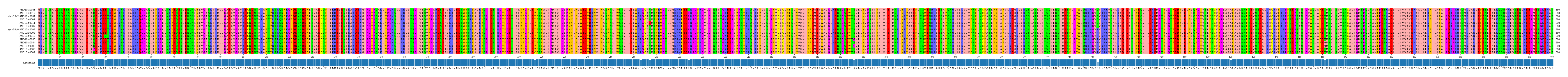 Multiple Alignments (by translate haplotype similarity)