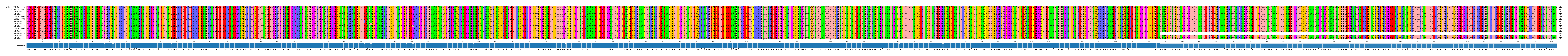Multiple Alignments (by translate haplotype frequency)