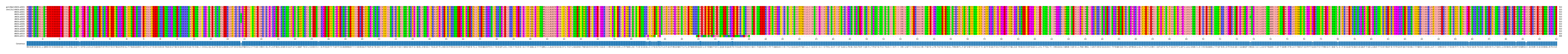 Multiple Alignments (by translate haplotype frequency)