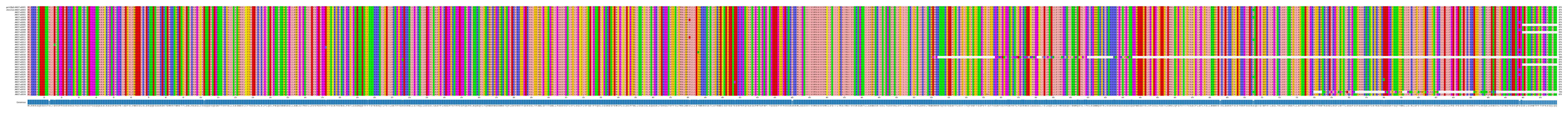 Multiple Alignments (by translate haplotype frequency)
