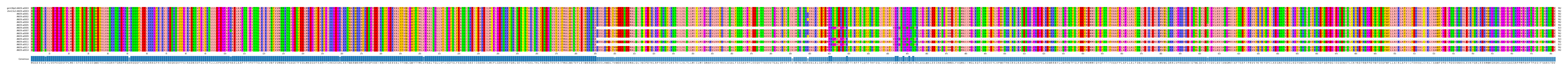 Multiple Alignments (by translate haplotype frequency)