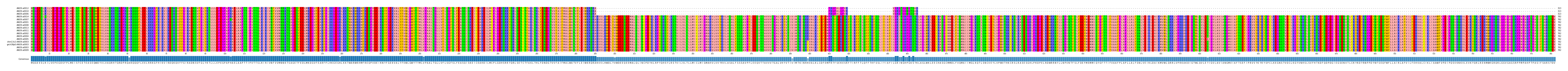 Multiple Alignments (by translate haplotype similarity)