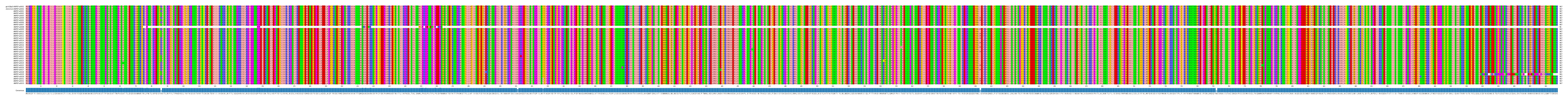 Multiple Alignments (by translate haplotype frequency)