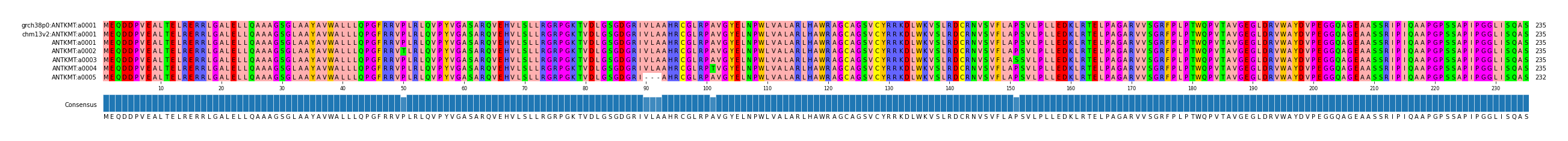 Multiple Alignments (by translate haplotype frequency)