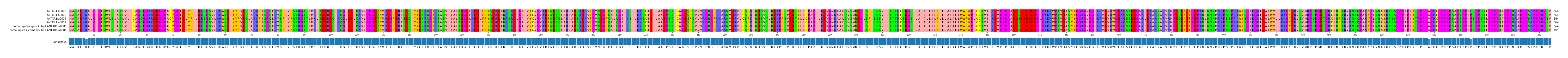 Multiple Alignments (by translate haplotype similarity)