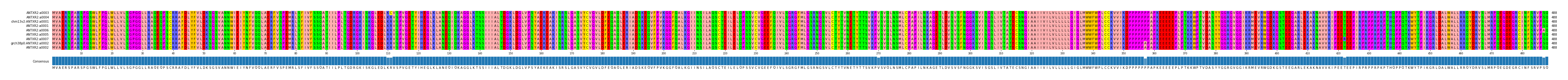 Multiple Alignments (by translate haplotype similarity)