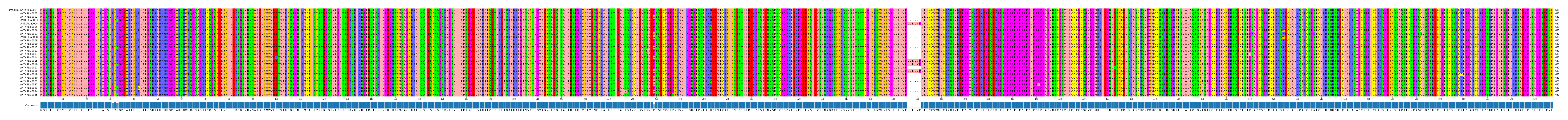 Multiple Alignments (by translate haplotype frequency)