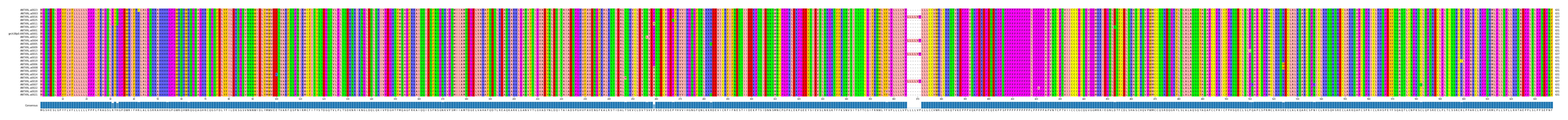 Multiple Alignments (by translate haplotype similarity)