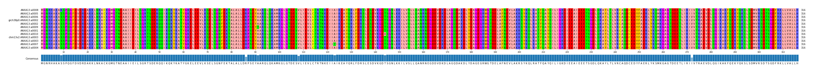 Multiple Alignments (by translate haplotype similarity)