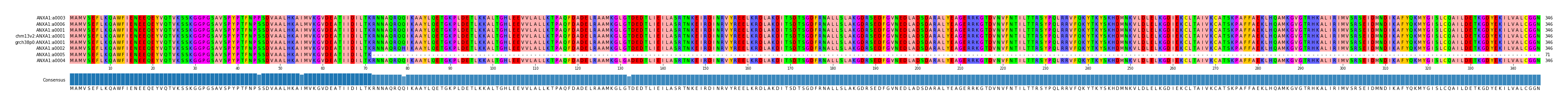 Multiple Alignments (by translate haplotype similarity)