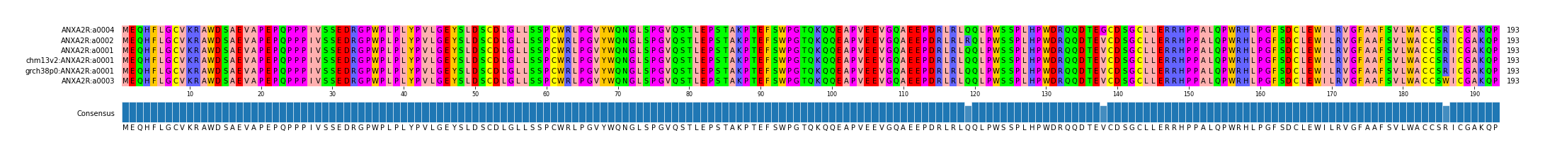 Multiple Alignments (by translate haplotype similarity)