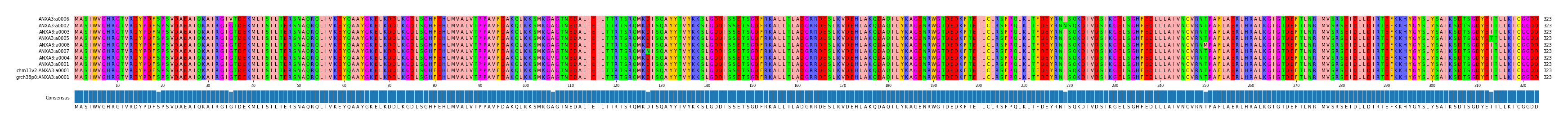 Multiple Alignments (by translate haplotype similarity)