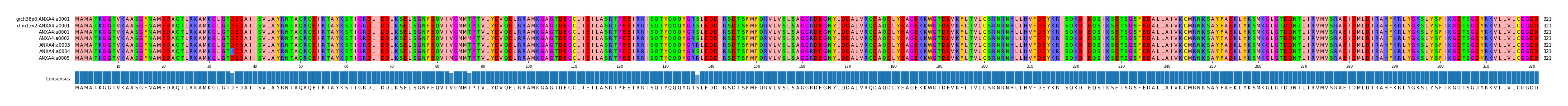 Multiple Alignments (by translate haplotype frequency)