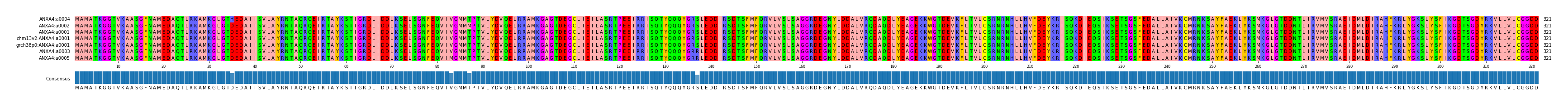 Multiple Alignments (by translate haplotype similarity)