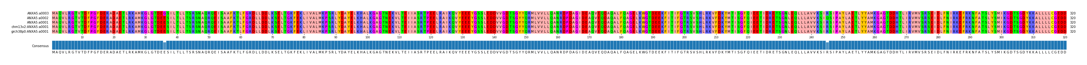 Multiple Alignments (by translate haplotype similarity)