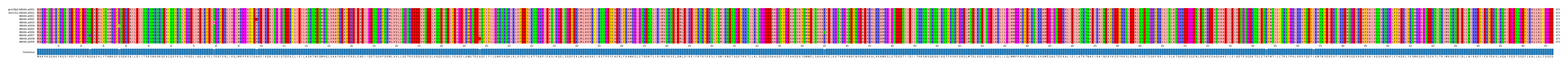 Multiple Alignments (by translate haplotype frequency)