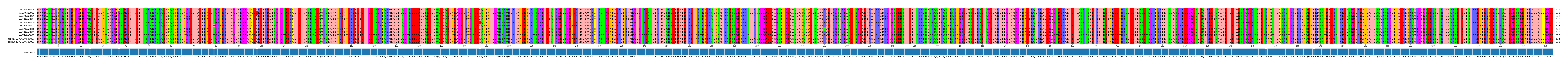 Multiple Alignments (by translate haplotype similarity)
