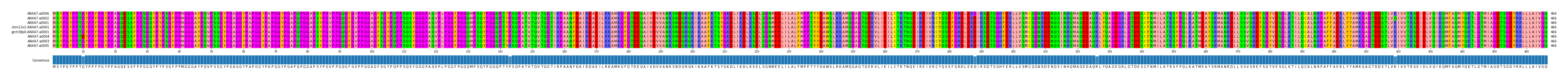 Multiple Alignments (by translate haplotype similarity)