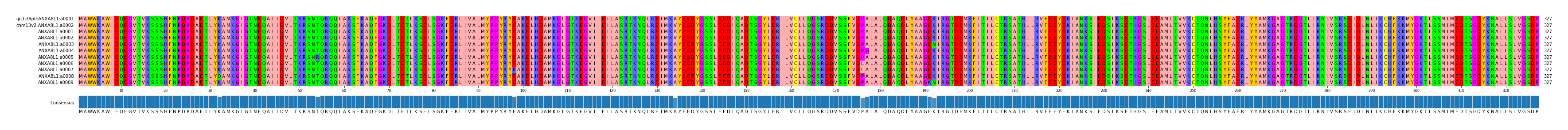 Multiple Alignments (by translate haplotype frequency)