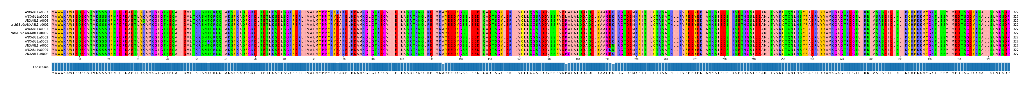 Multiple Alignments (by translate haplotype similarity)