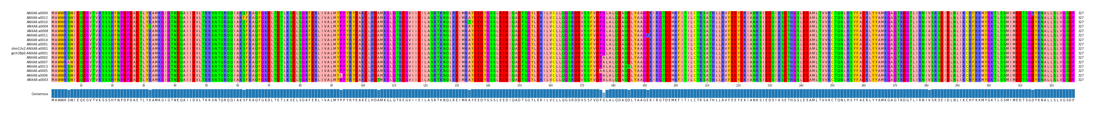 Multiple Alignments (by translate haplotype similarity)