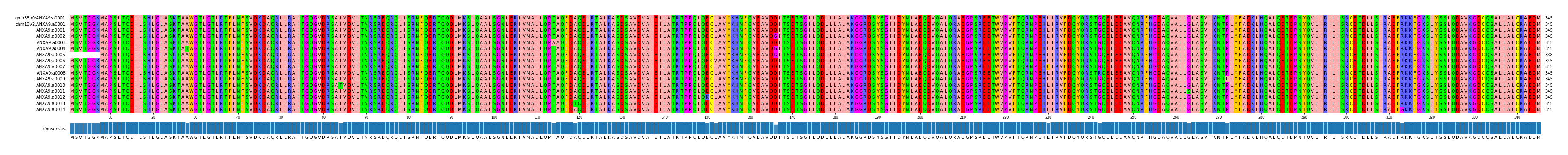 Multiple Alignments (by translate haplotype frequency)