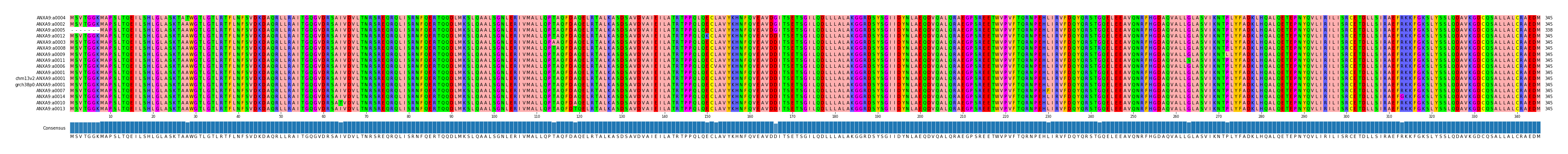 Multiple Alignments (by translate haplotype similarity)