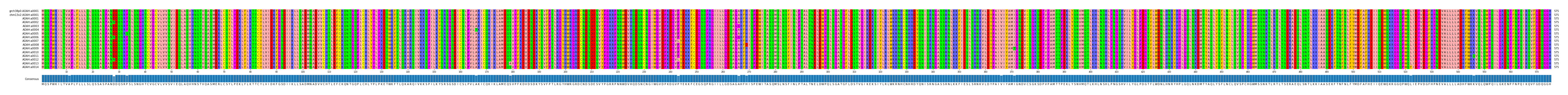 Multiple Alignments (by translate haplotype frequency)