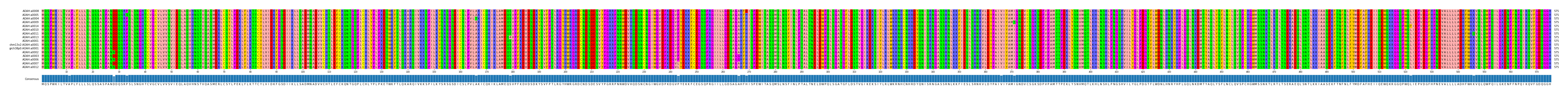 Multiple Alignments (by translate haplotype similarity)